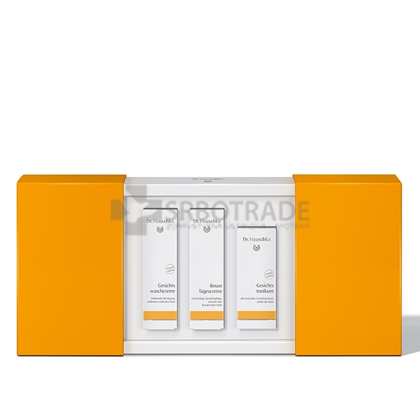 Dr. Hauschka Set Morning Greeting Face Care